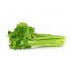Celery